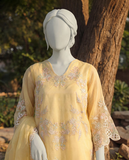 SAVINA - 3 PIECE EMBROIDERY SUIT