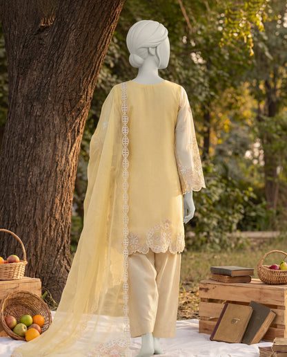 SAVINA - 3 PIECE EMBROIDERY SUIT