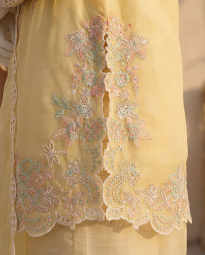 SAVINA - 3 PIECE EMBROIDERY SUIT