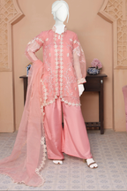 Embroidered Organza Coat Ensemble 3 Piece Luxury Suit